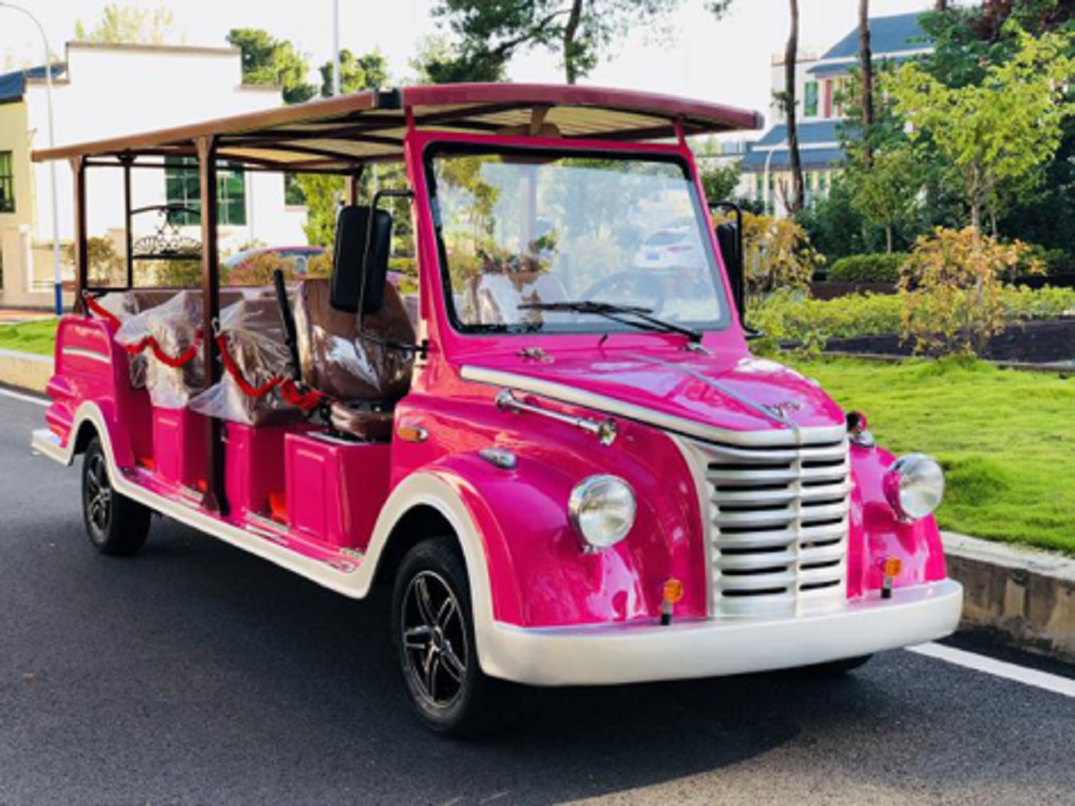 忠輝觀光車(chē)