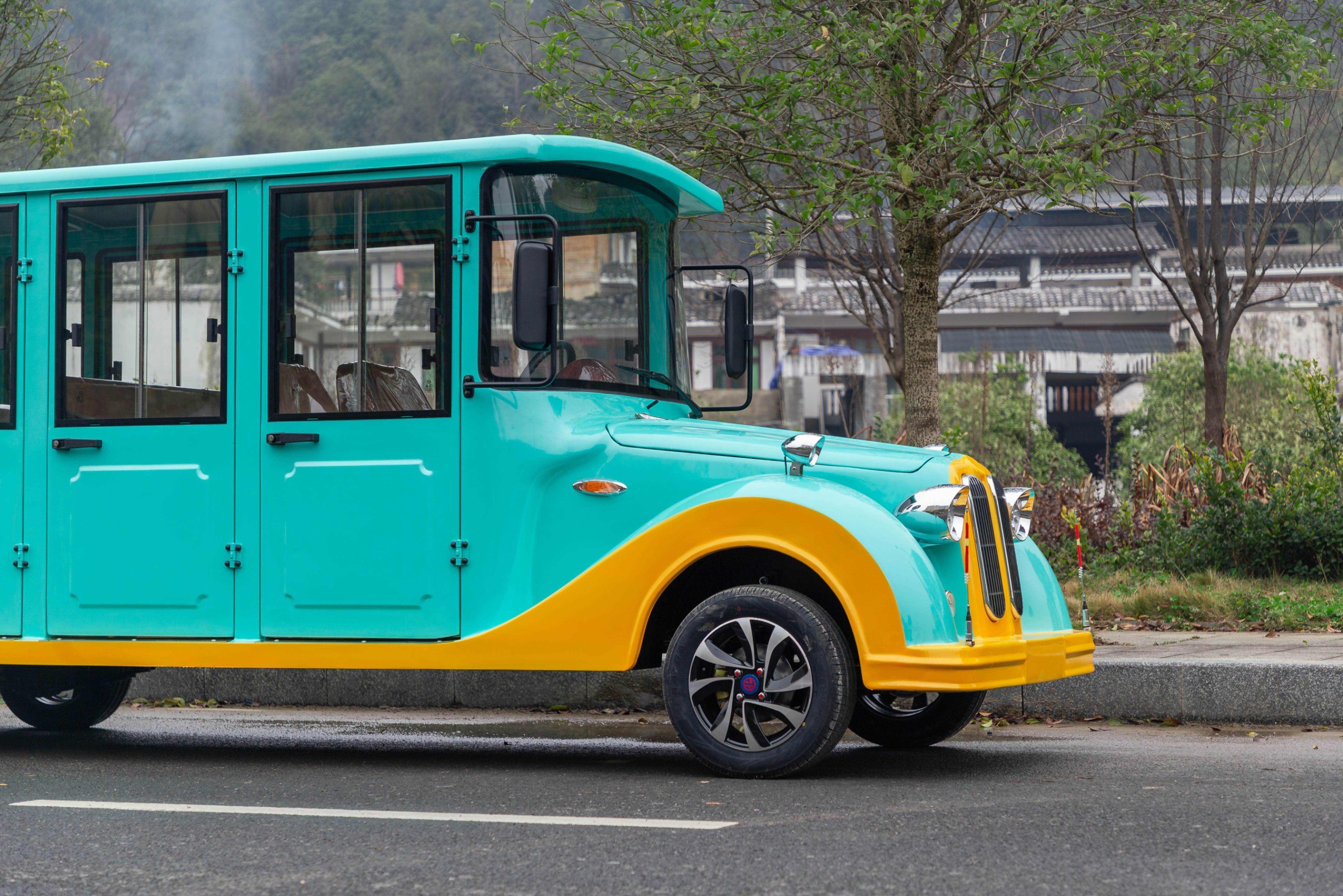 忠輝觀光車(chē)
